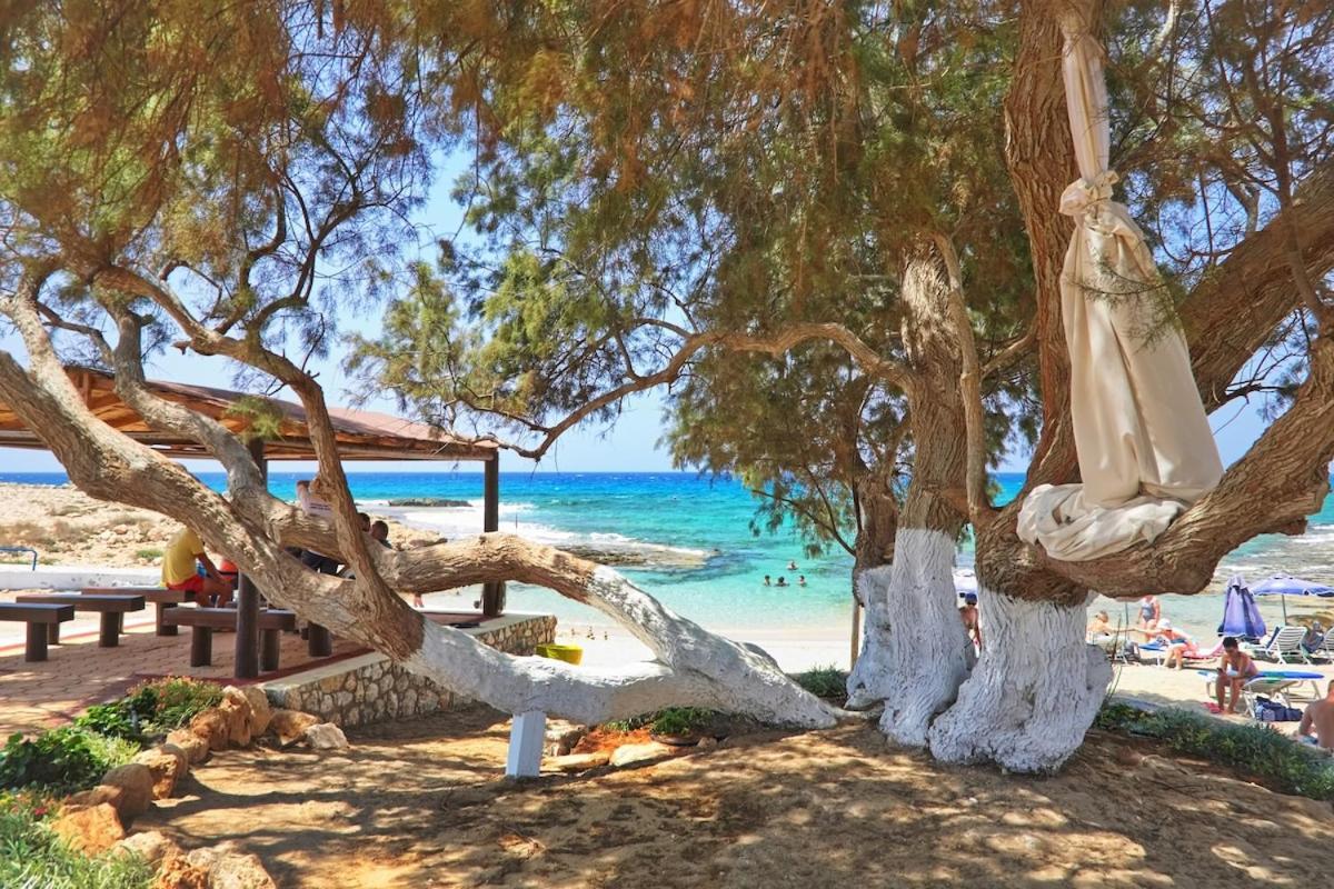 Beachfront Luxury Villa Idania Айя-Напа Экстерьер фото